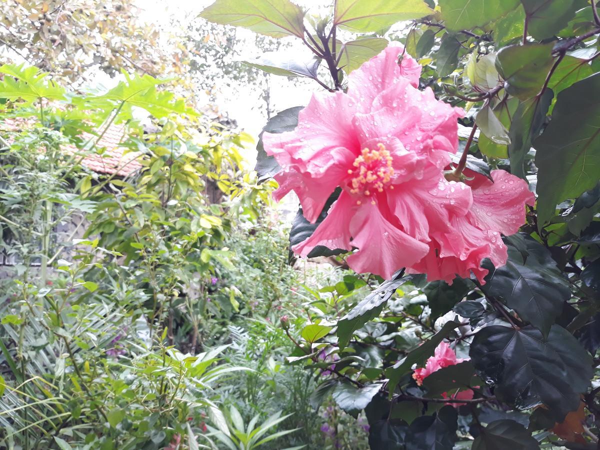 Mr. Viet Home Stay Ninh Binh Eksteriør bilde