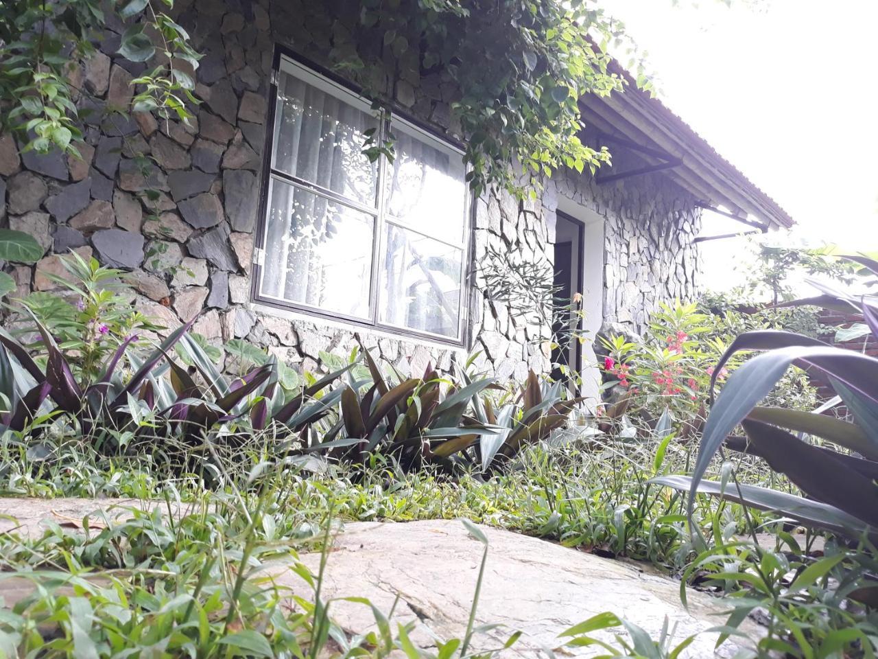 Mr. Viet Home Stay Ninh Binh Eksteriør bilde
