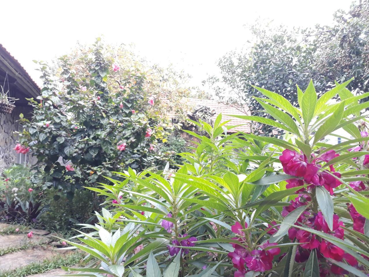 Mr. Viet Home Stay Ninh Binh Eksteriør bilde
