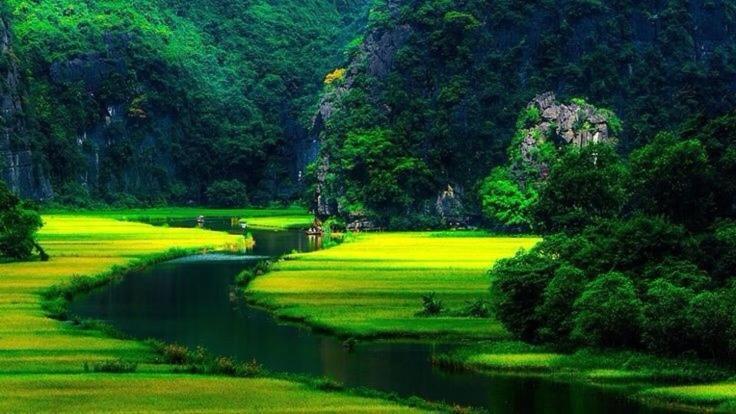 Mr. Viet Home Stay Ninh Binh Eksteriør bilde