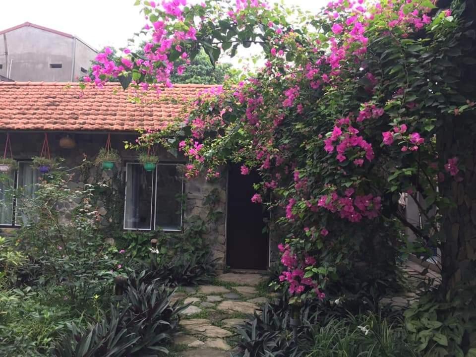 Mr. Viet Home Stay Ninh Binh Eksteriør bilde