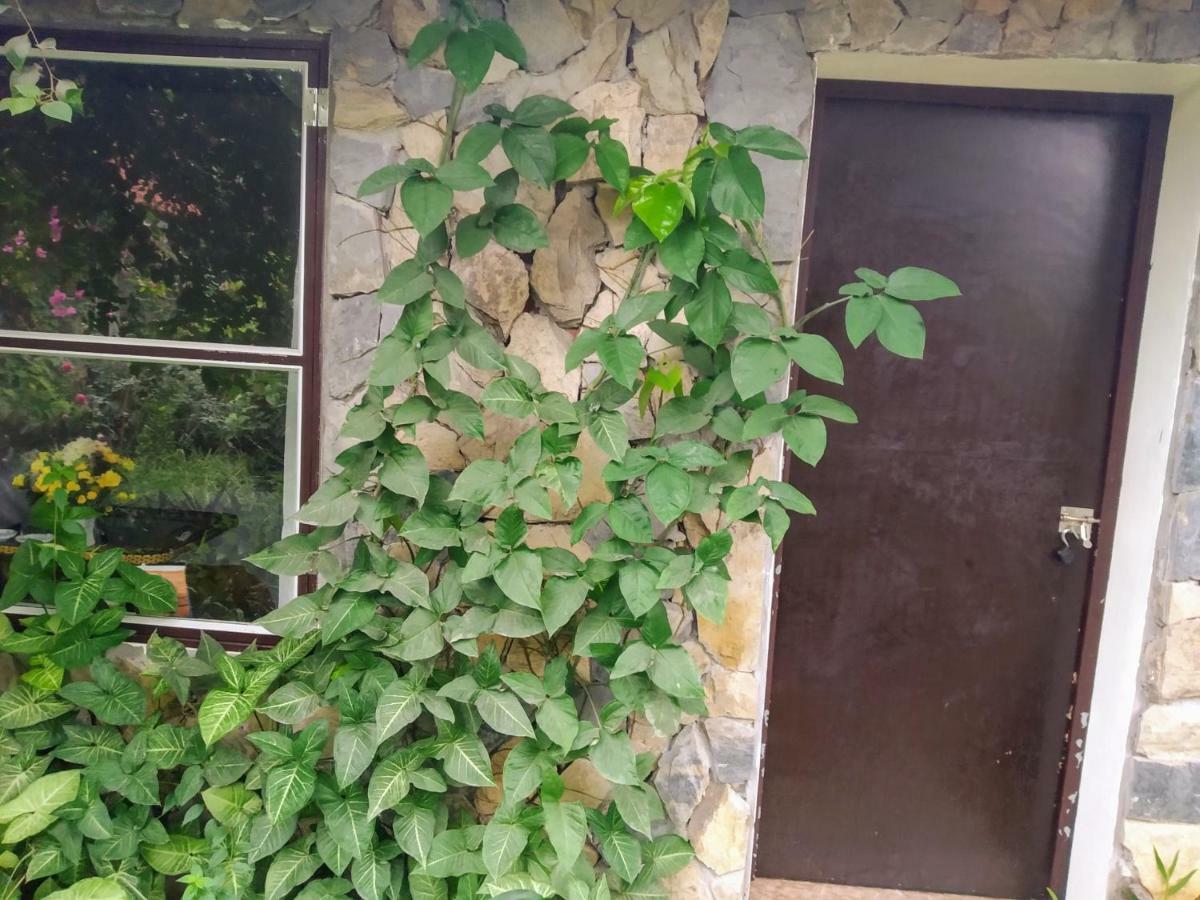 Mr. Viet Home Stay Ninh Binh Eksteriør bilde